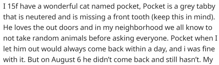 She has a wonderful cat named Pocket. He loves the outdoors, and OP would let him out regularly. But one day, he didn't come back.
