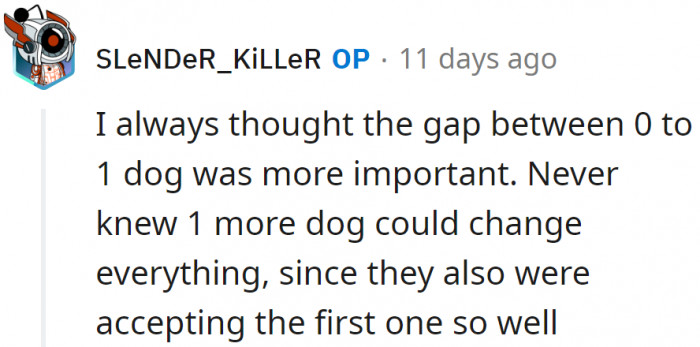 He really didn't believe that a second dog would be too much for them.