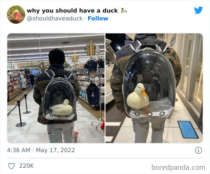 18. When you want to give your duck a grand tour