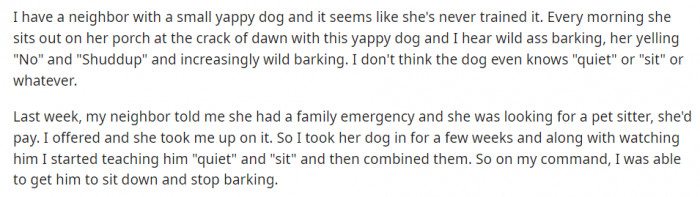 Being woken up by a barking dog and a screaming neighbor has become an everyday occurrence for OP, until an opportunity arose.