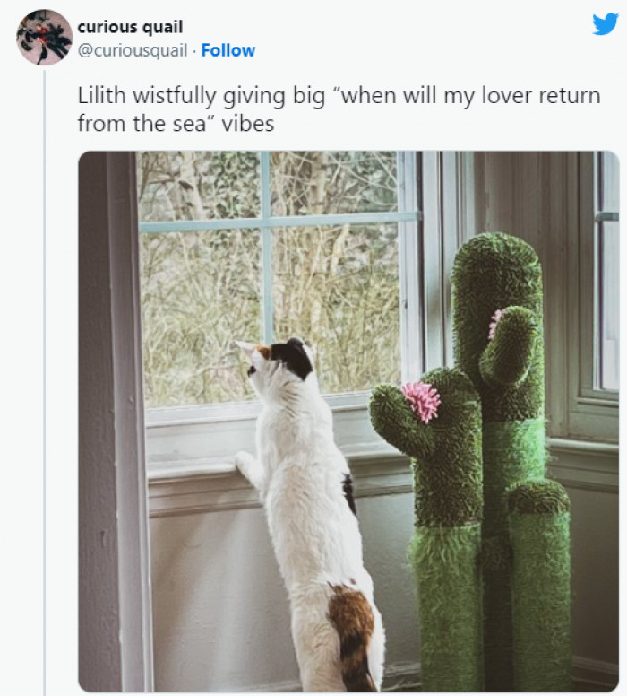 14. There is someone out there waiting for me