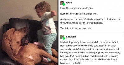 Photo Of A Toddler Hitting A Dog Sparks Outrage Towards Irresponsible Parents Online