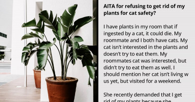 Redditor Gets Bashed For Refusing To Get Rid Of Plants That Can Cause The Death Of Their Cats If Ingested