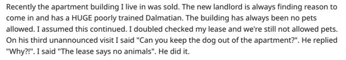 Even though the building has a strict rule against pets, this new landlord thought he could do whatever he wanted.