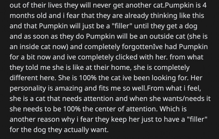 OP saw how amazing a cat Pumpkin is while she was taking care of her. She said Pumpkin is exactly the kind of cat she wants.