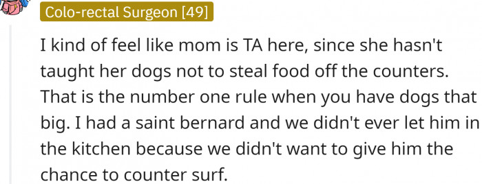 Redditors mostly think that OP was right here. She didn't know if the dog was trained or not.