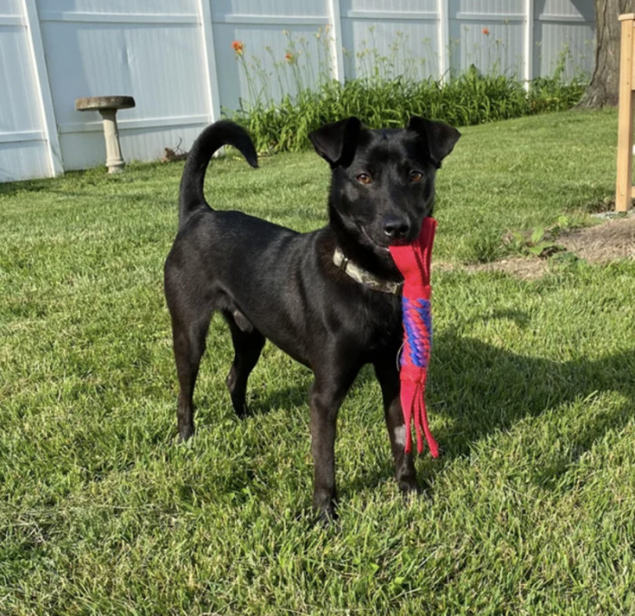 He's definitely loving it