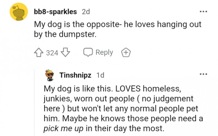 3. This doggo loves the dumpster