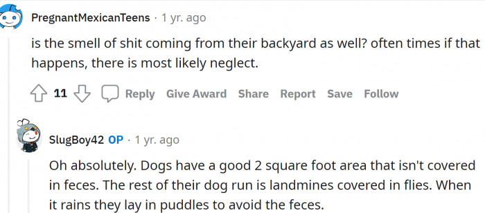 Those poor dogs