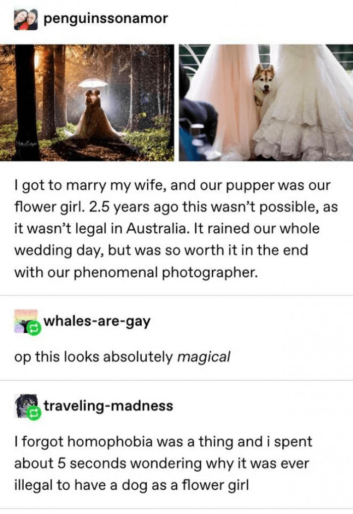 9. “I’m part of the family. I’ve got to be in the pictures too!”