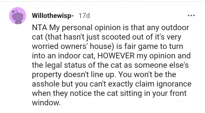 The legal status of the cat as someone else's property does not line up