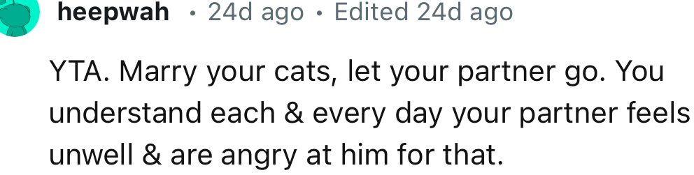 “Marry your cats, let your partner go. You understand each & every day your partner feels unwell & are angry at him for that.”
