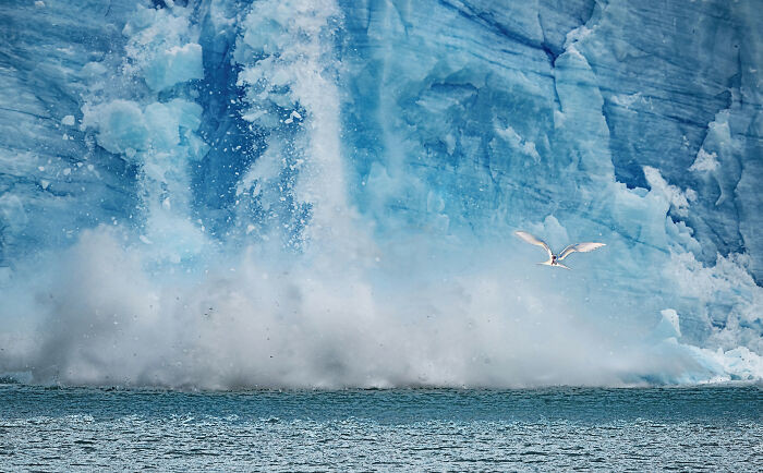 “Spegazzini Glacier” By Giovanni Sonsini