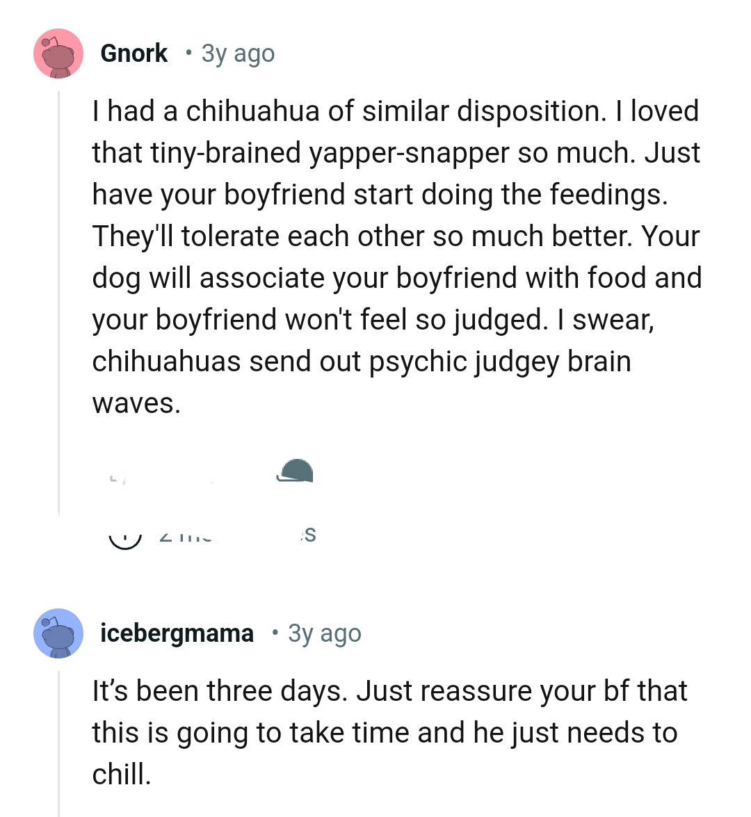 How they'll tolerate each other well