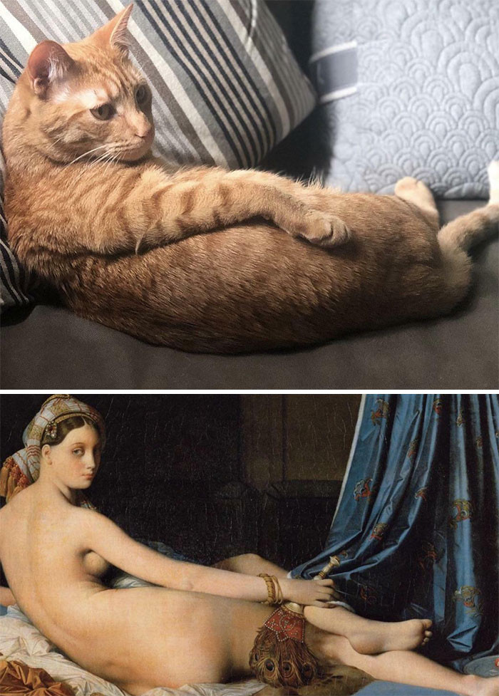 26. Ferdalisque