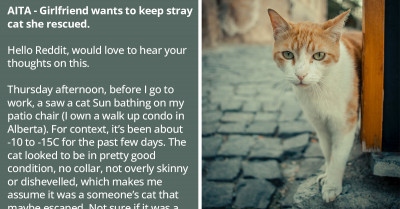Redditor Doesn't Want His GF To Keep A Stray Cat She Rescued And Bonded With Because He's Allergic