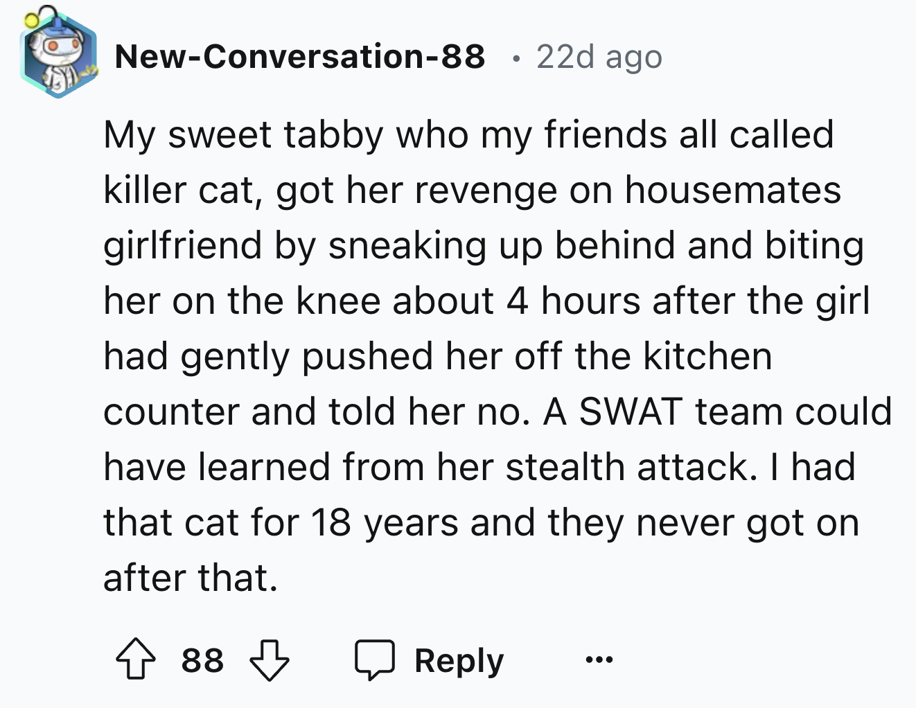 The tale of the killer cat...