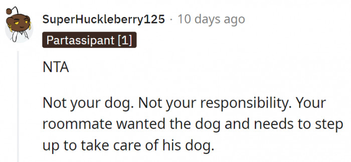 13. The roommate needs to learn how to be a responsible pet owner
