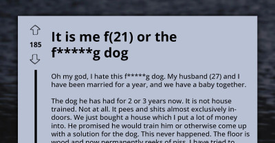 Woman Cries Out About "Hard-Headed Overly Defensive" Husband Who Refuses To Train His Dog And It's Driving Her Nuts