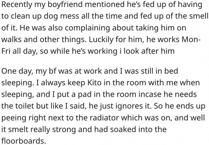 The dog peed near the radiator.