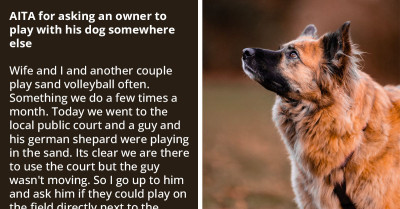 Redditor Confronts Man Playing With His Dog On Sand Volleyball Court