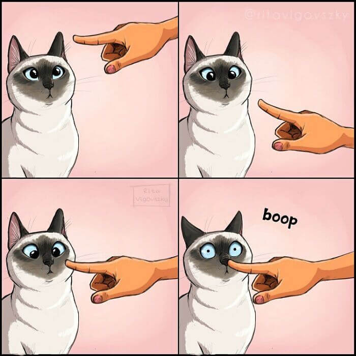 30. Gotta boop the boop