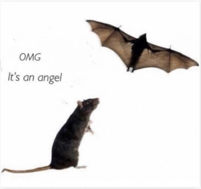 7. "Beauty is in the eye of the beholder."