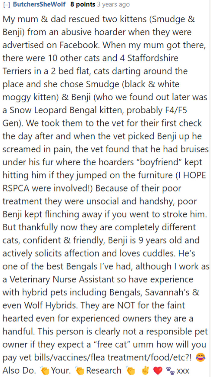 A Redditor who has taken care of a Bengal warns that owning one is not for the faint of heart.