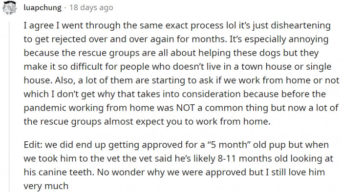 Another user seems to agree that shelters/rescue organizations play a major role in discouraging people from adopting dogs