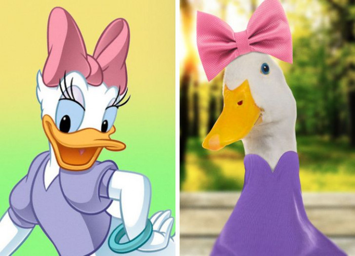 9. Daisy Duck would be a real sweetheart in real life (like she is in the animated version), and there's really no question about that! Who doesn't love ducks, anyway?