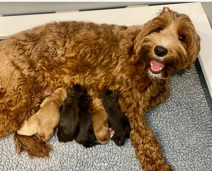 19. Happy doodle mama