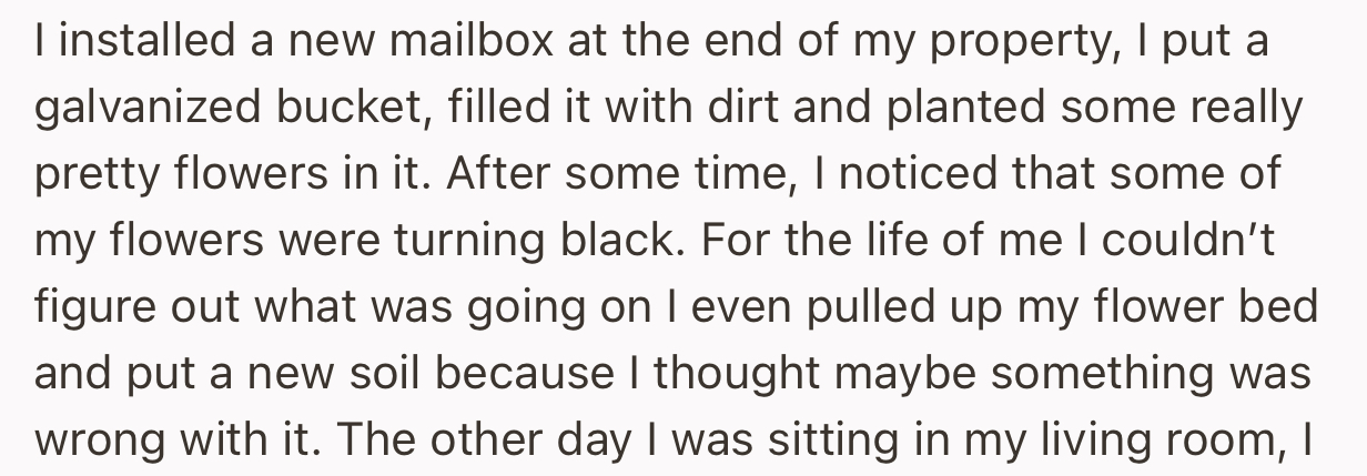 OP Planted Some Pretty Flowers Near Their Mailbox. After a While, They Realized That Some of the Flowers Were Turning Black