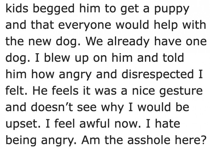 It was their children who wanted the dog. She was utterly furious about the gesture because they already have one dog.