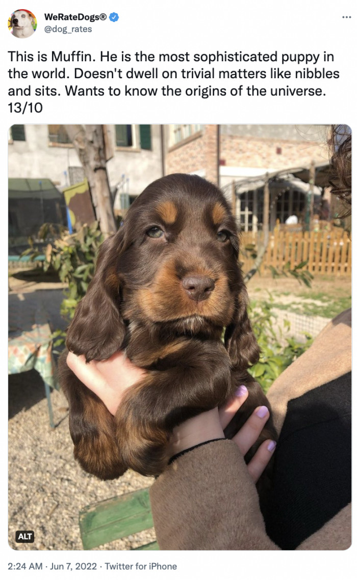 13. Life's too short to dwell on trivialities.