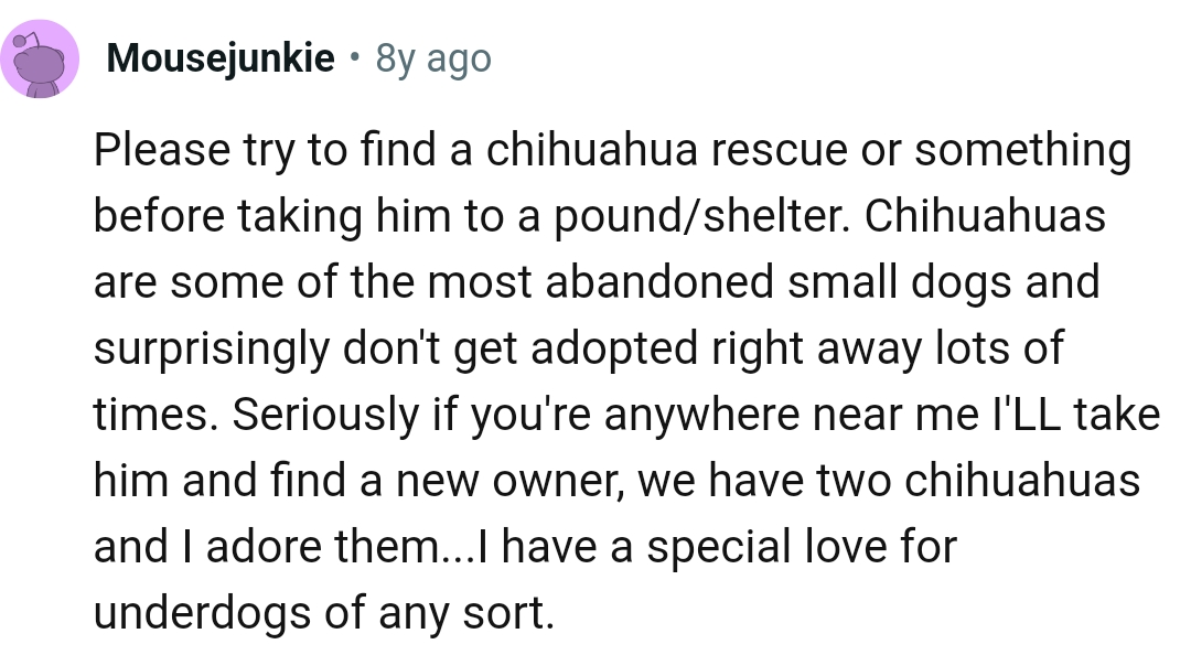 The OP should find a Chihuahua rescue