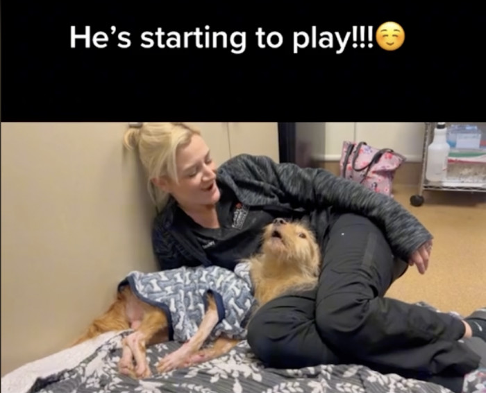 He is almost ready to make a mess around Dr. Bewley's clinic!