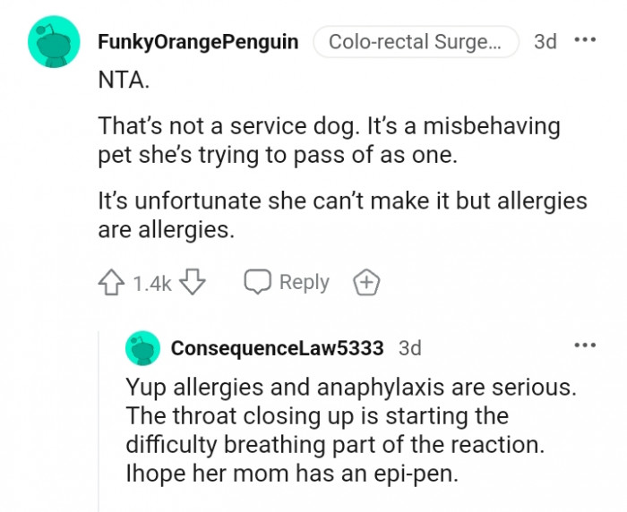 It is a misbehaving pet not a service dog