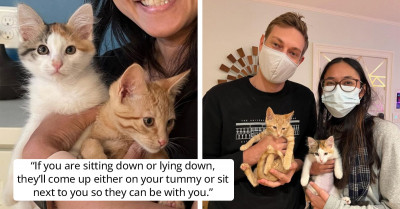 Not Sisters By Birth, But Sisters By Heart -Two Adorable Cuddle-Bug Kittens Find One Forever Home