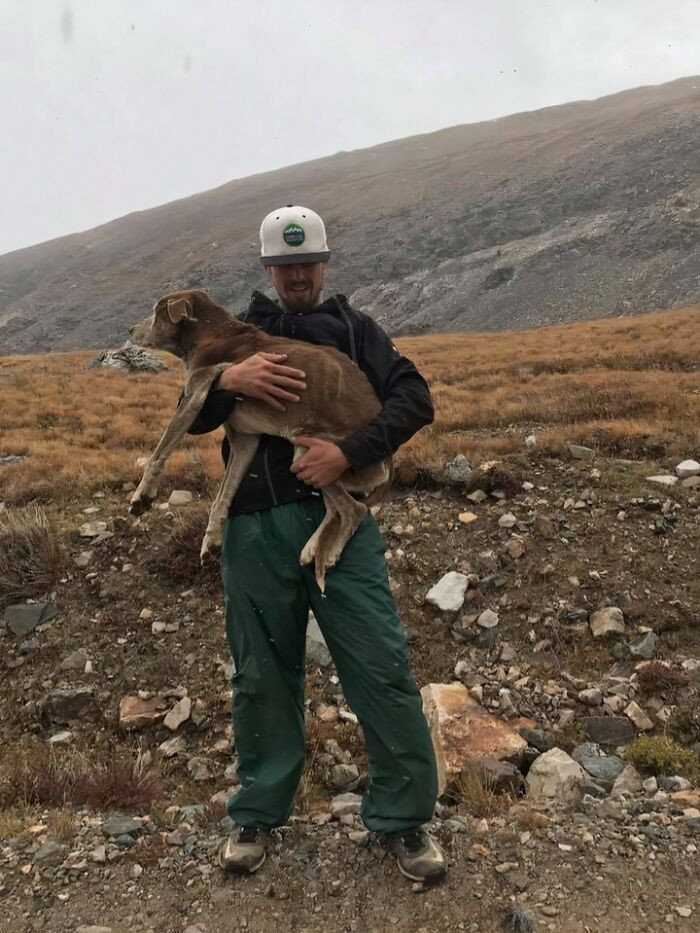 "My Friend Read Reports About A Stranded Dog On A Mountain. Bros Was In Colorado And Proceeded To Climb The Mountain And Rescue Said Dog"