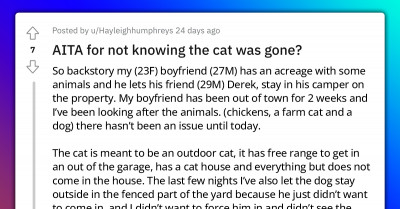 Man Yells At Friend’s GF For Neglecting Farm Cat Who Was Found Dead, Reports Her To Boyfriend