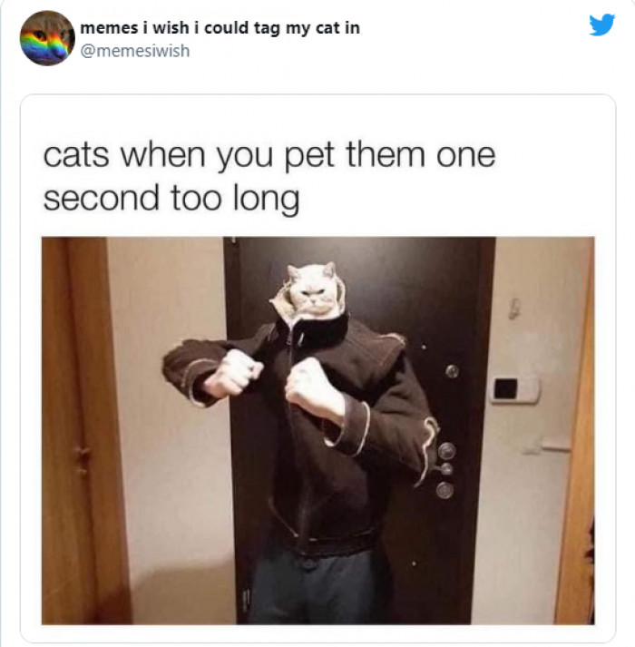 15. You might want to put a stop to it now.