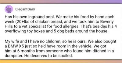 30+ Unconventional Ways To Spoil Your Dog