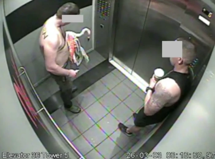 Hotel staff inspect flamingo habitat after reported flamingo disturbance and injuries