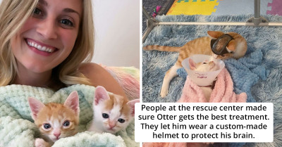 Two Sibling Kittens With Disabilities Get A Second Chance At Life And We're All Fawning Over Them