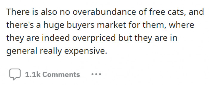 A continuation from the edit update: