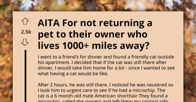 Lost Cat Found 1,000 Miles From Home Sparks Standoff Between Finder And Owner