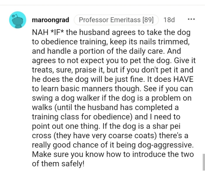 This Redditor wants the OP to get a dog walker if the dog is a problem to walk