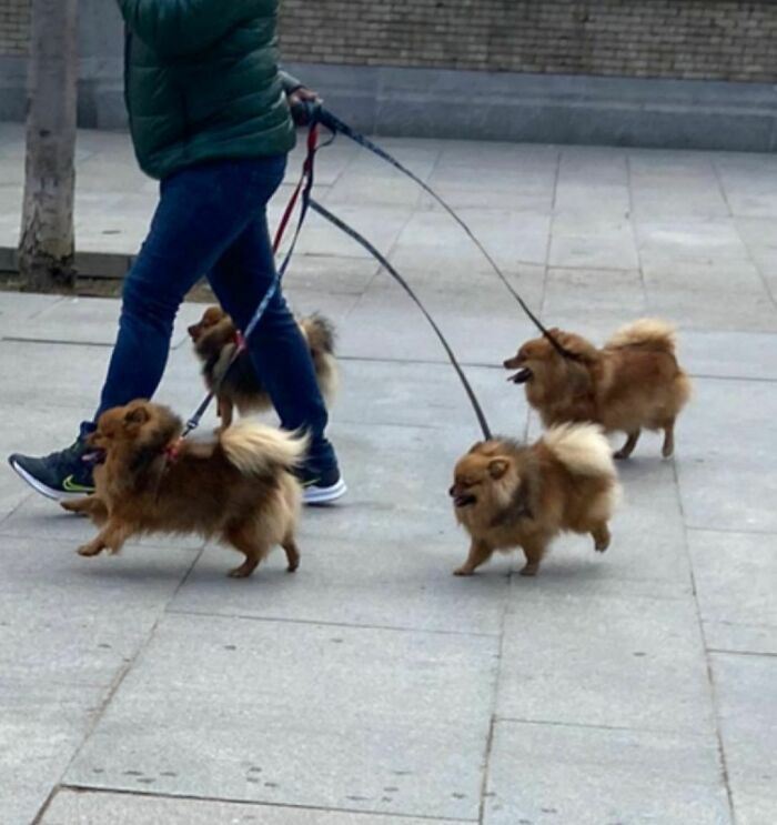 1. Dunno, but this is just too cute