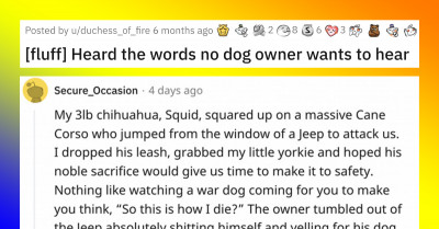 Important Lessons Can Be Learned From How This Redditor And Their Incredible Doggo Handled A Dangerous Situation
