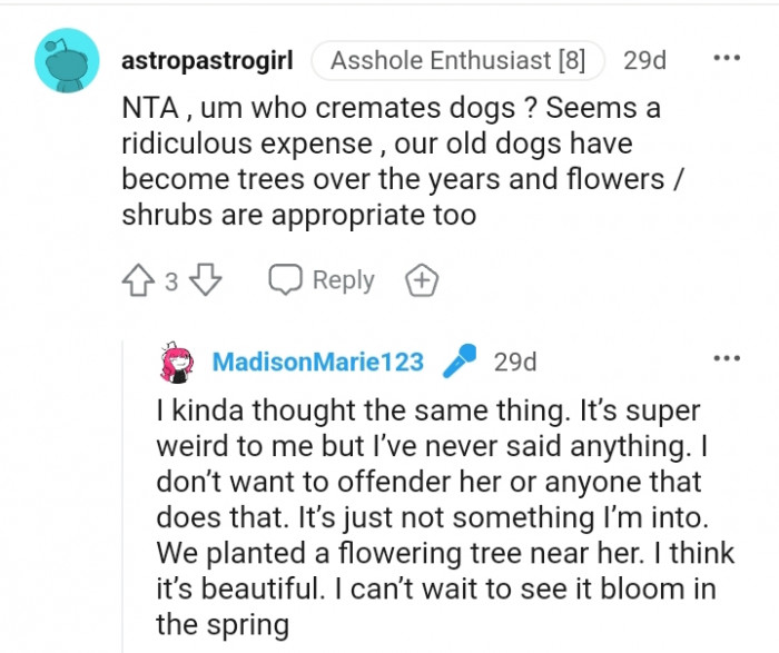 This Redditor just had to know who cremates a dog???